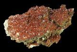Ruby Red Vanadinite Crystals on Barite - Morocco #134710-1